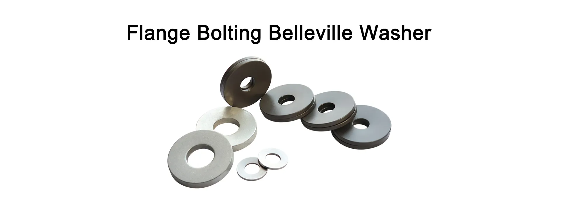 Flange Bolting Belleville Washer