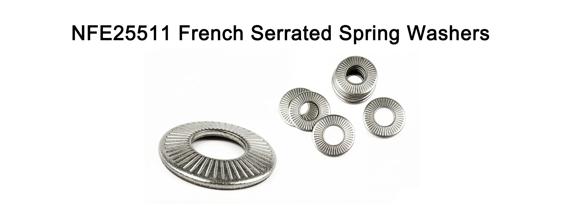 NFE25511 French Serrated Spring Washers